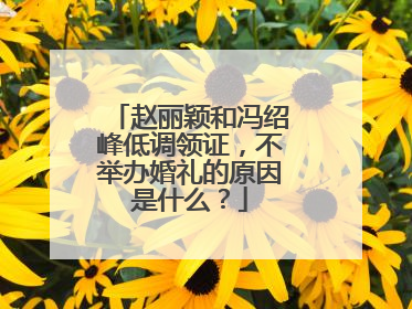 赵丽颖和冯绍峰低调领证,不举办婚礼的原因是什么?