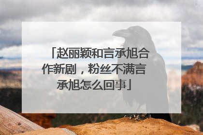 赵丽颖和言承旭合作新剧，粉丝不满言承旭怎么回事