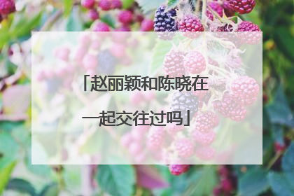 赵丽颖和陈晓在一起交往过吗