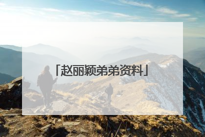 赵丽颖弟弟资料