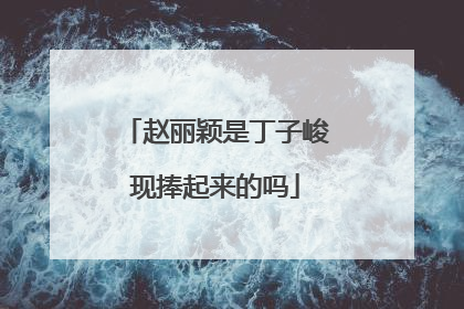 赵丽颖是丁子峻现捧起来的吗