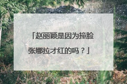 赵丽颖是因为撞脸张娜拉才红的吗?