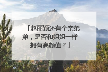 赵丽颖还有个亲弟弟,是否和姐姐一样拥有高颜值?