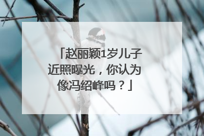 赵丽颖1岁儿子近照曝光,你认为像冯绍峰吗?
