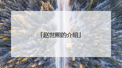 赵世熙的介绍
