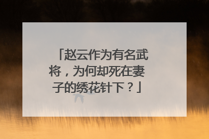 赵云作为有名武将,为何却死在妻子的绣花针下?