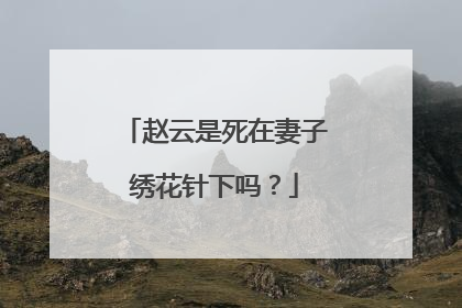 赵云是死在妻子绣花针下吗?