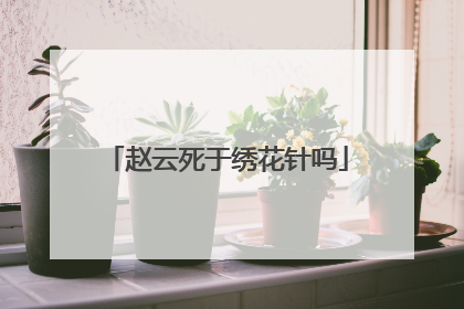 赵云死于绣花针吗