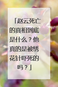 赵云死亡的真相到底是什么?他真的是被绣花针吓死的吗?