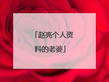 赵亮个人资料的老婆