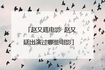 赵又廷电影 赵又廷出演过哪些电影