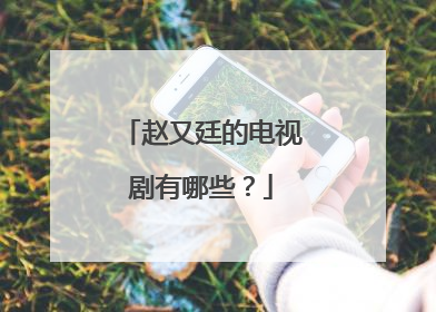 赵又廷的电视剧有哪些?