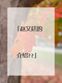 赵又廷的介绍??