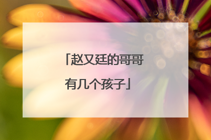 赵又廷的哥哥有几个孩子