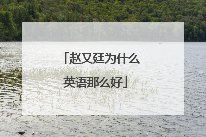 赵又廷为什么英语那么好