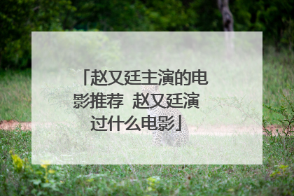 赵又廷主演的电影推荐 赵又廷演过什么电影