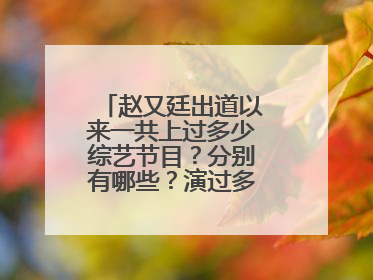 赵又廷出道以来一共上过多少综艺节目？分别有哪些？演过多少电视电影？
