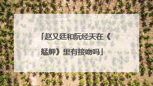 赵又廷和阮经天在《艋舺》里有接吻吗