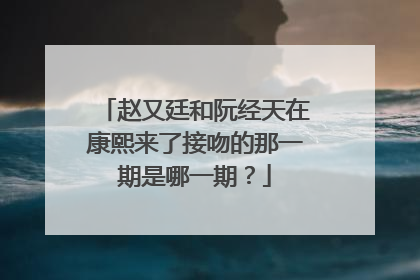 赵又廷和阮经天在康熙来了接吻的那一期是哪一期？