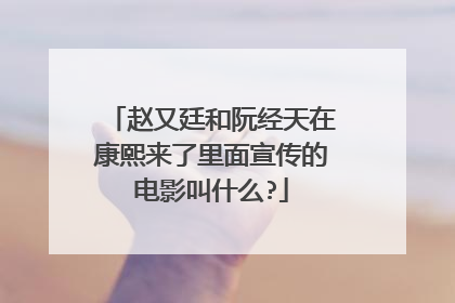 赵又廷和阮经天在康熙来了里面宣传的电影叫什么?