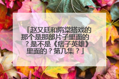 赵又廷和隋棠搭戏的那个是那部片子里面的？是不是《痞子英雄》里面的？第几集？