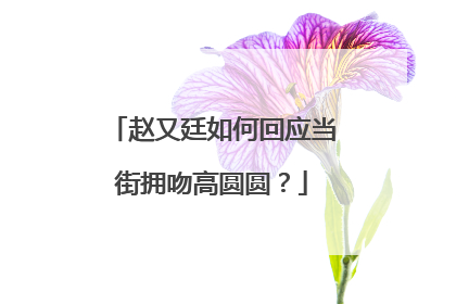 赵又廷如何回应当街拥吻高圆圆？