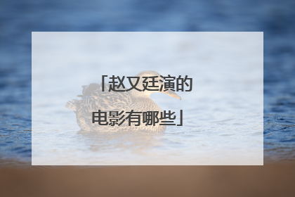 赵又廷演的电影有哪些