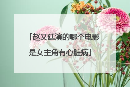 赵又廷演的哪个电影是女主角有心脏病