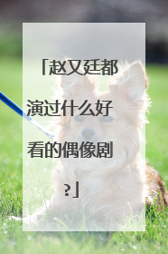 赵又廷都演过什么好看的偶像剧?