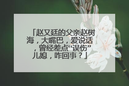 赵又廷的父亲赵树海，大嘴巴，爱说话，曾经差点“误伤”儿媳，咋回事？