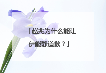 赵兆为什么能让伊能静道歉?