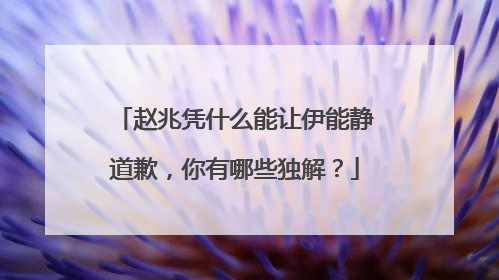 赵兆凭什么能让伊能静道歉,你有哪些独解?