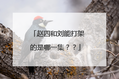 赵四和刘能打架的是哪一集？？