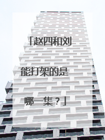 赵四和刘能打架的是哪一集？