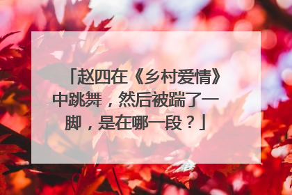 赵四在《乡村爱情》中跳舞，然后被踹了一脚，是在哪一段？