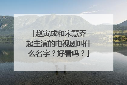 赵寅成和宋慧乔一起主演的电视剧叫什么名字？好看吗？