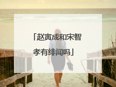 赵寅成和宋智孝有绯闻吗