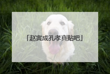 赵寅成孔孝真贴吧