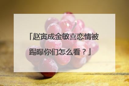 赵寅成金敏喜恋情被踢曝你们怎么看?