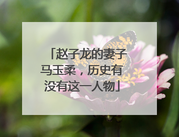 赵子龙的妻子马玉柔，历史有没有这一人物