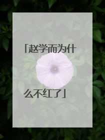 赵学而为什么不红了