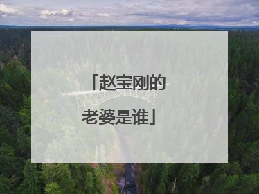 赵宝刚的老婆是谁