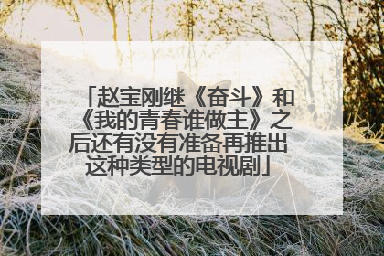 赵宝刚继《奋斗》和《我的青春谁做主》之后还有没有准备再推出这种类型的电视剧