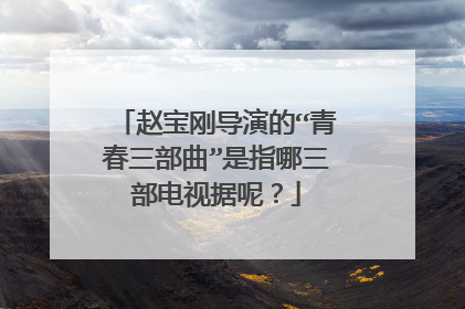 赵宝刚导演的“青春三部曲”是指哪三部电视据呢？