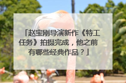 赵宝刚导演新作《特工任务》拍摄完成,他之前有哪些经典作品?