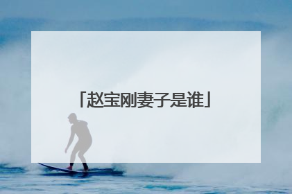 赵宝刚妻子是谁