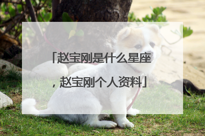 赵宝刚是什么星座，赵宝刚个人资料