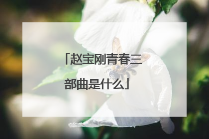 赵宝刚青春三部曲是什么