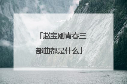 赵宝刚青春三部曲都是什么