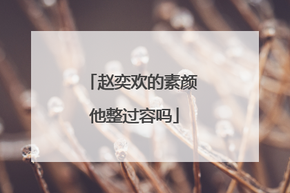 赵奕欢的素颜他整过容吗